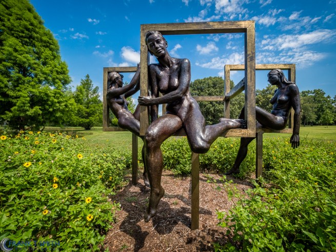 20150716-20150716-_7160451-HDR-Edit