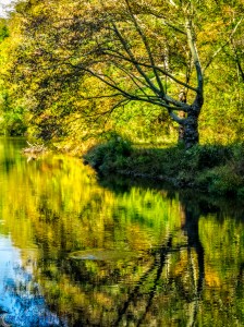 20151010-_A100627-Edit