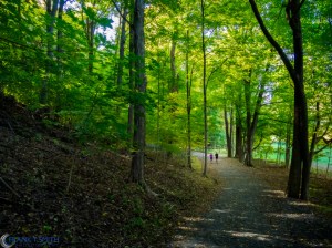 20151010-_A100731-Edit