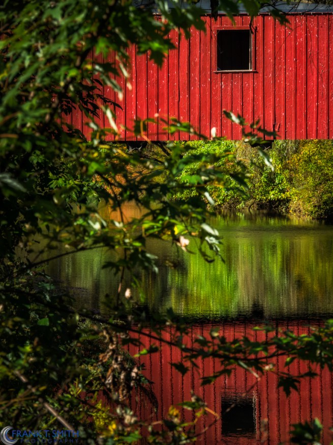 20151010-_A100769-Edit