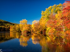 20151017-_A170646-Edit