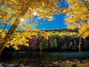 20151017-_A170663-Edit