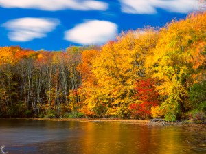 20151017-_A170780-Edit