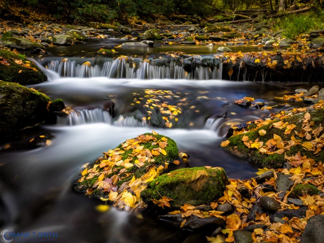 20151017-_A170826-Edit