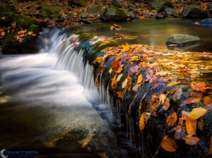 20151017-_A170844-Edit