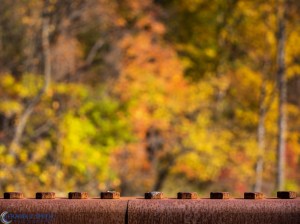 20151031-_A310175-Edit