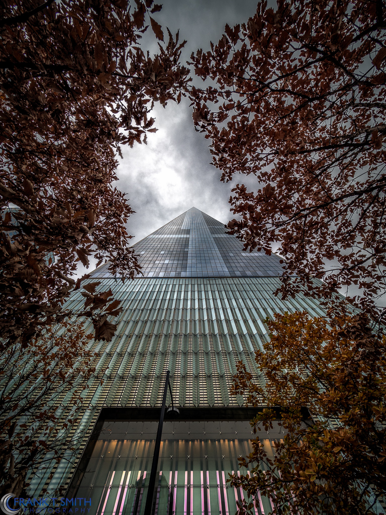 20151106-_B060638-Edit