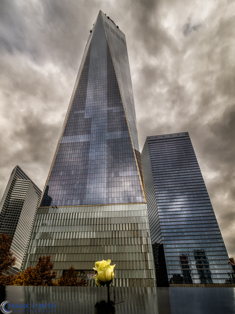 20151106-_B060741-Edit-Edit