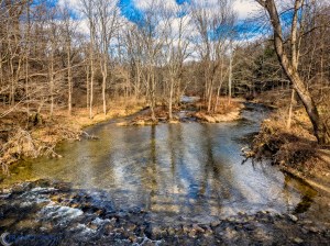 20160102-_1020196-Edit