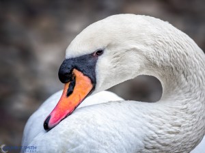 20160116-_1160897-Edit