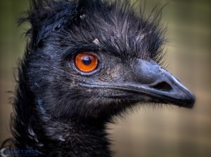 20160116-_1160997-Edit