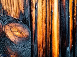 20160130-_1301061-Edit