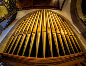 20151108-_B081029-Edit-Edit