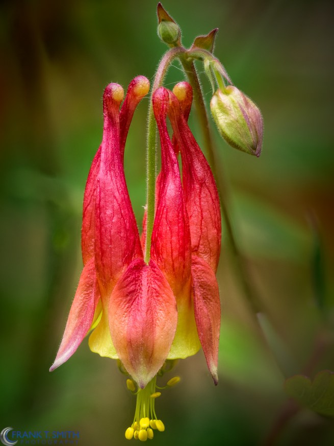 2016-05-02 00-13-58 (B,Radius10,Smoothing6)-Edit