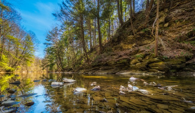 20160416-_4160577-Edit-Edit