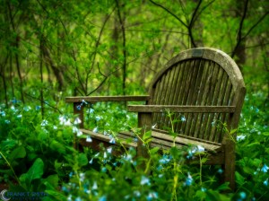 20160430-_4300082-Edit