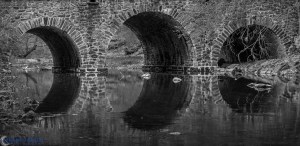 20160430-_4300176-Edit