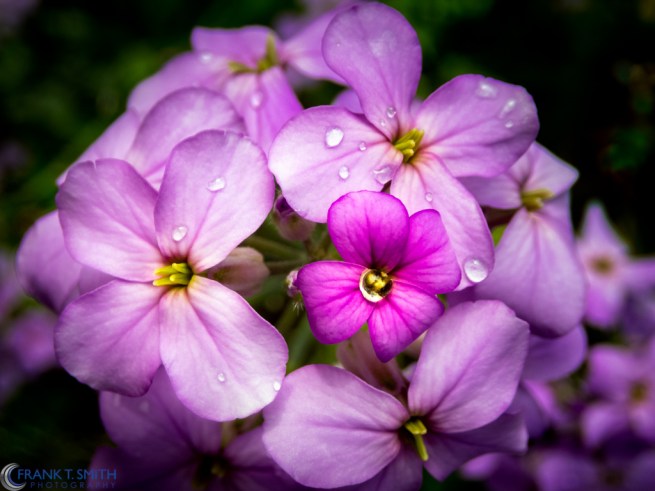 20160530-P5300057-Edit