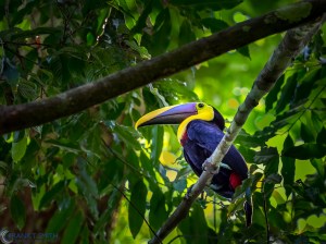 20160313-20160313-_3130232-recovered