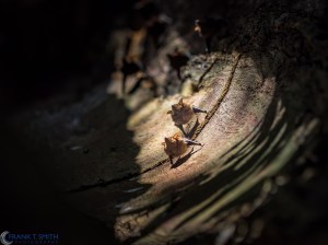 20160313-_3130250-edit