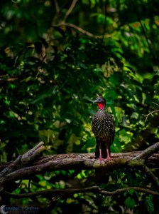 20160313-_3130288-edit