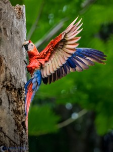 20160316-20160316-_3160095