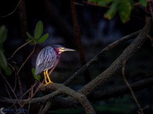 20160316-20160316-_3161017-edit