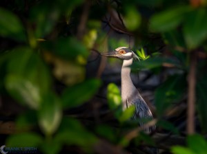 20160316-20160316-_3161181