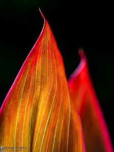 20160316-_3161061-edit