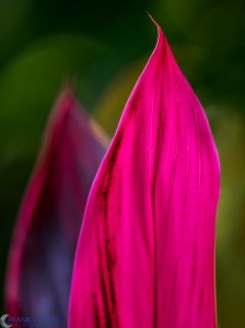 20160316-_3161680-edit