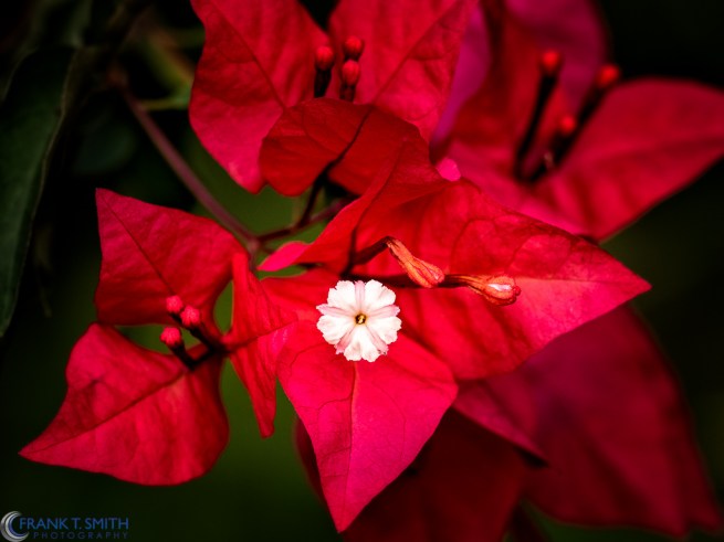 20160316-_3161731-edit-edit