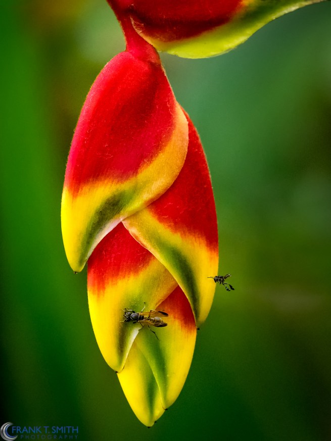 20160316-_3161981-edit