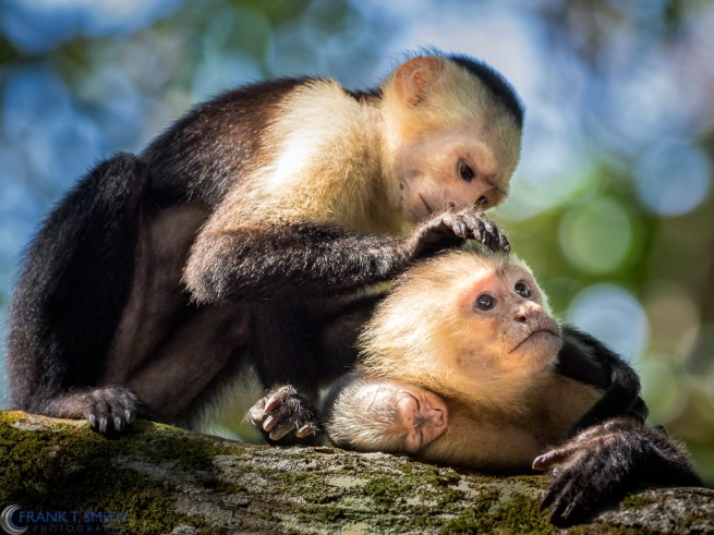 20160317-_3171053-edit