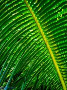 20160317-_3171285-edit