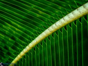 20160317-_3171290-edit