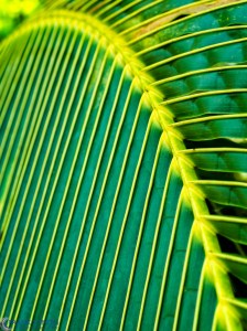 20160317-_3171300-edit