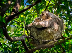 20160318-_3180104-edit