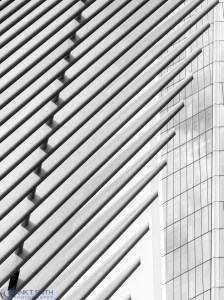 20161016-_a160179-edit