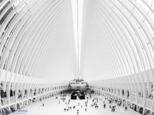 20161016-_a160258-edit