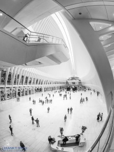 20161016-_a160262-edit