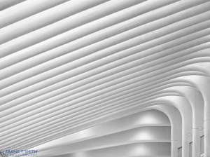 20161016-_a160318-edit-2