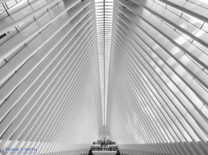 20161016-_a160372-edit-edit-edit