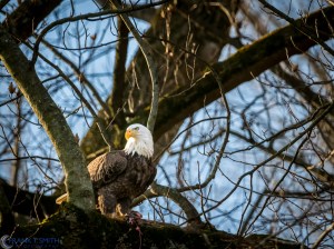 20161222-_c220587-edit