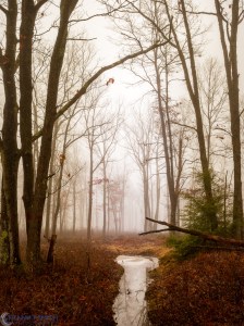 20170121-_1210729-edit