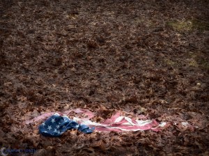 20170121-_1210750-edit