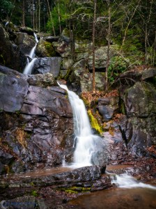 20170121-_1210883-edit-edit